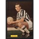 Signed picture of David Burnside the West Bromwich Albion (WBA) footballer.